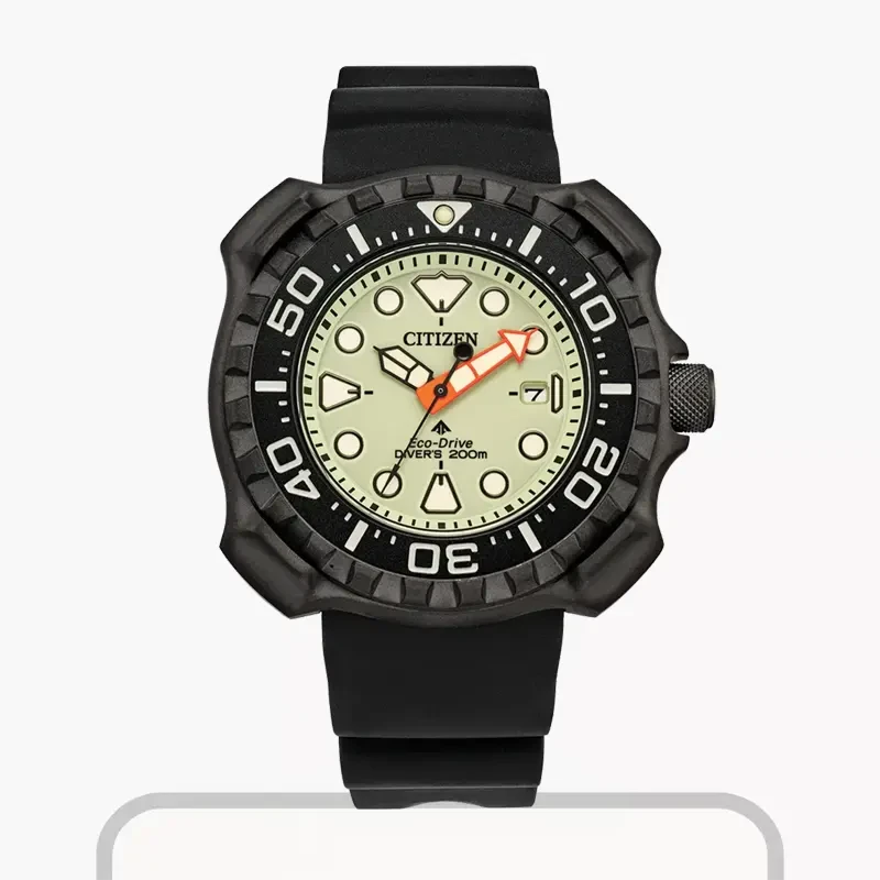 Titanium Citizen Promaster Professional Diver Men's Watch